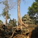 Ta Prohm