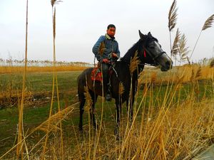 Kirgiz na koniu