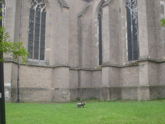 Bergkerk Deventer.