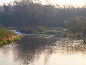 Warta w Działoszynie
