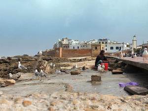 23167122 - Agadir Marokańska Essauira w marcu 2014