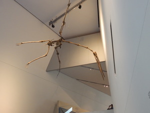 Szkielet pterodaktyla w ROM