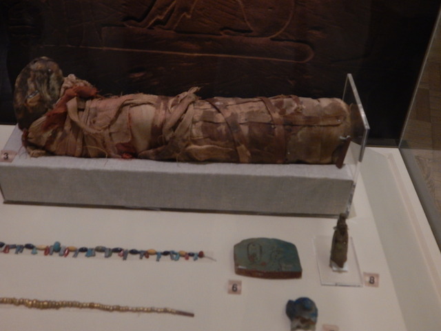 Sztuka egipska mumia kota