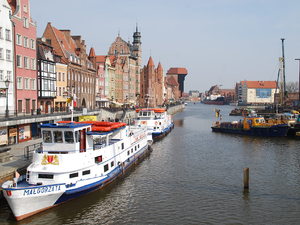 żuraw 