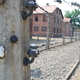 Obóz zagłady Auschwitz 