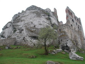 Podzamcze - ruiny zamku Ogrodzieniec