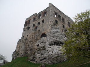 Podzamcze - ruiny zamku Ogrodzieniec