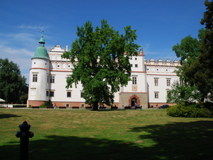 Zamek Leszczyńskich 