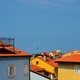 Piran