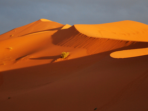 Erg Chebbi