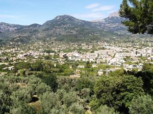 Soller