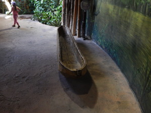 Lodz afrykanska,Toronto ZOO,Toronto,Canada