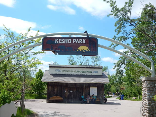 Kesho Park,Hipcio,Toronto ZOO,Toronto,Canada