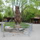 Pomnik grizzly,Toronto ZOO,Toronto,Canada