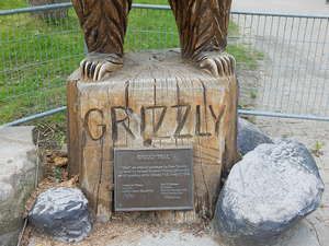 Grizzly,Toronto ZOO,Toronto,Canada