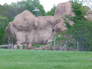 Skalka,Toronto ZOO,Toronto,Canada