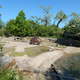 Hipcio,Toronto ZOO,Toronto,Canada