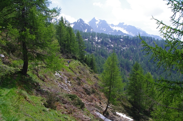 Valle del M. Sasso