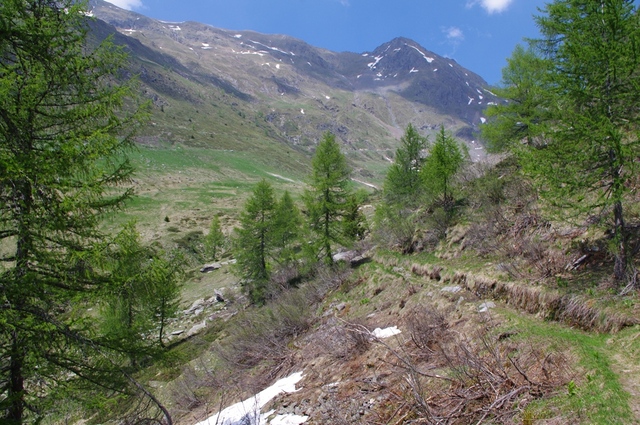 Valle del M. Sasso