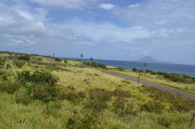 25713625 - Saint Kitts i Nevis Pociągiem przez Saint Kitts