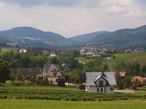 Wieś Skrzydlna