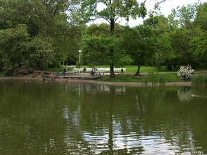 Park Wilsona