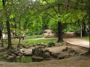 Park Wilsona