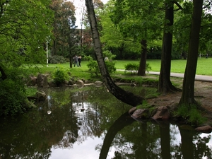 Park Wilsona