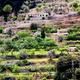 Valldemossa