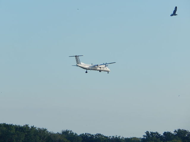 Samoloty podchadzace do ladowania na Toronto City Centre Airport,ktore jest polozone kolo Lake Onatrio,Toronto,Ontario,Canada 