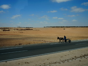 25715206 - Essaouira As Sawira