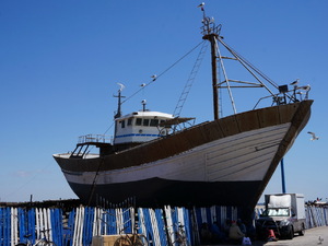 25715211 - Essaouira As Sawira