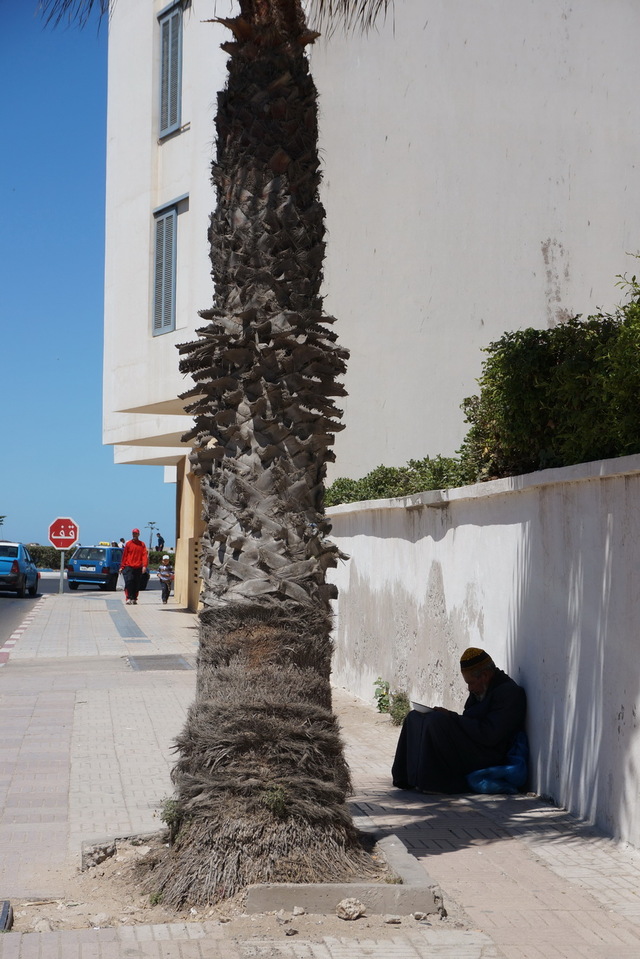 25715233 - Essaouira As Sawira
