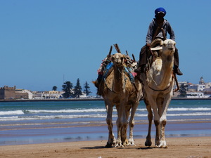 25715241 - Essaouira As Sawira