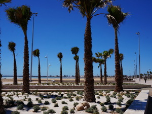 25715254 - Essaouira As Sawira