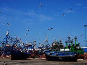 25715267 - Essaouira As Sawira