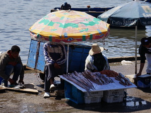 25715272 - Essaouira As Sawira