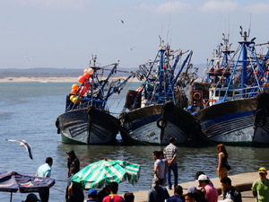 25715273 - Essaouira As Sawira