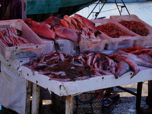 25715279 - Essaouira As Sawira