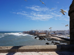 25715285 - Essaouira As Sawira