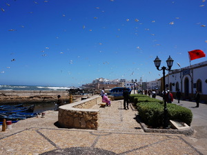 25715294 - Essaouira As Sawira