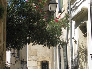 Arles