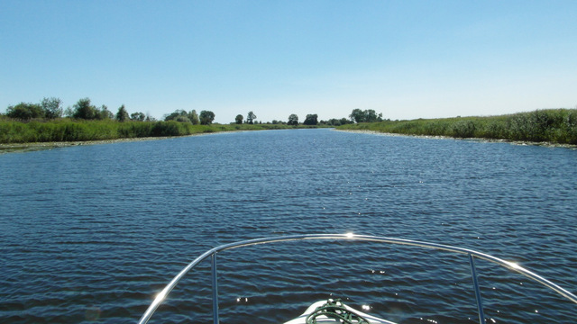 Szkarpawa