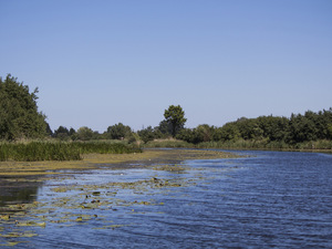 Wisła Królewiecka