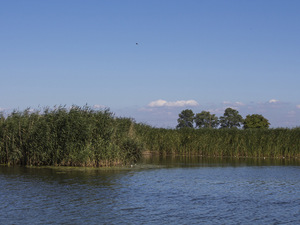 Wisła Królewiecka