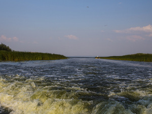 Wisła Królewiecka