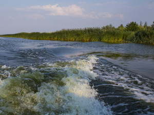 Wisła Królewiecka