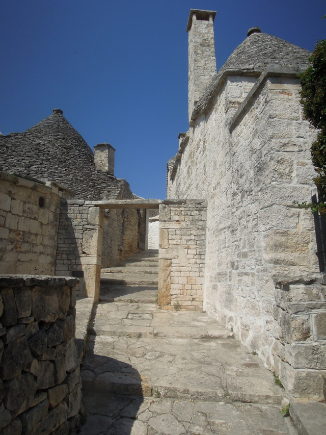 Dscn5638