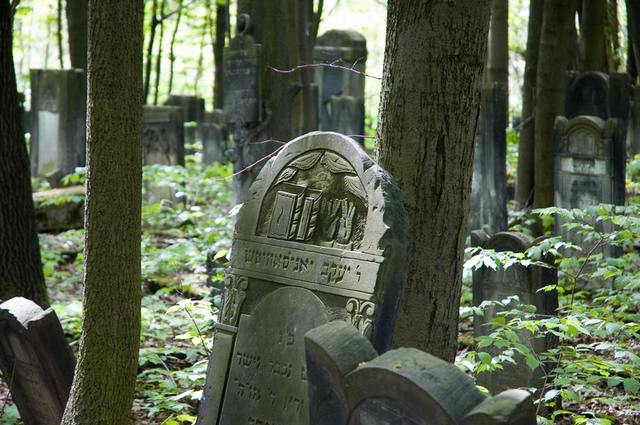 Cmentarz Żydowski 