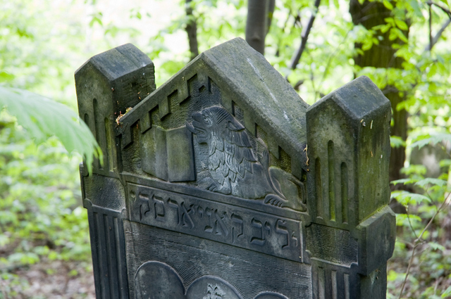 Cmentarz Żydowski 